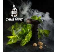 Black Burn 25 гр Cane Mint